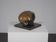 Intriguing bronze sculpture by Jos van Vreeswijk, Netherlands, 20th century