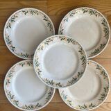 Mimosa dessert plates
