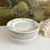 12 Lunéville "Garland" ironstone dessert plates