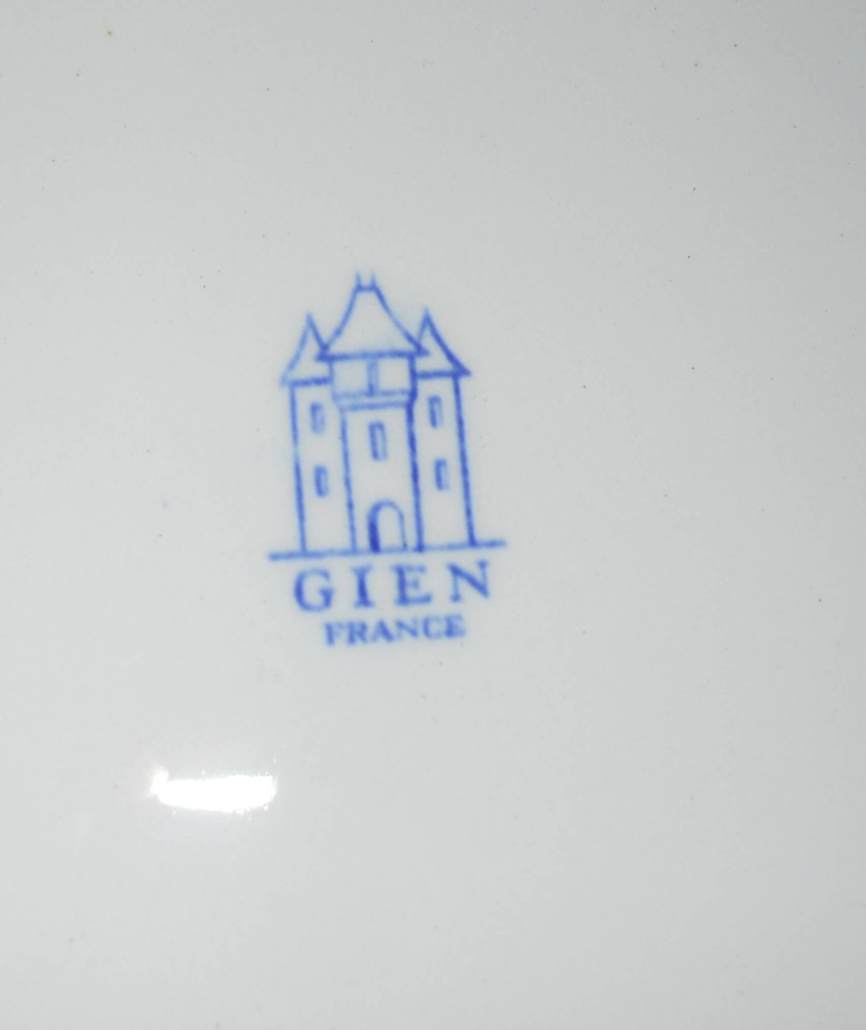Service of 8 flat plates and 2 blue gien dishes