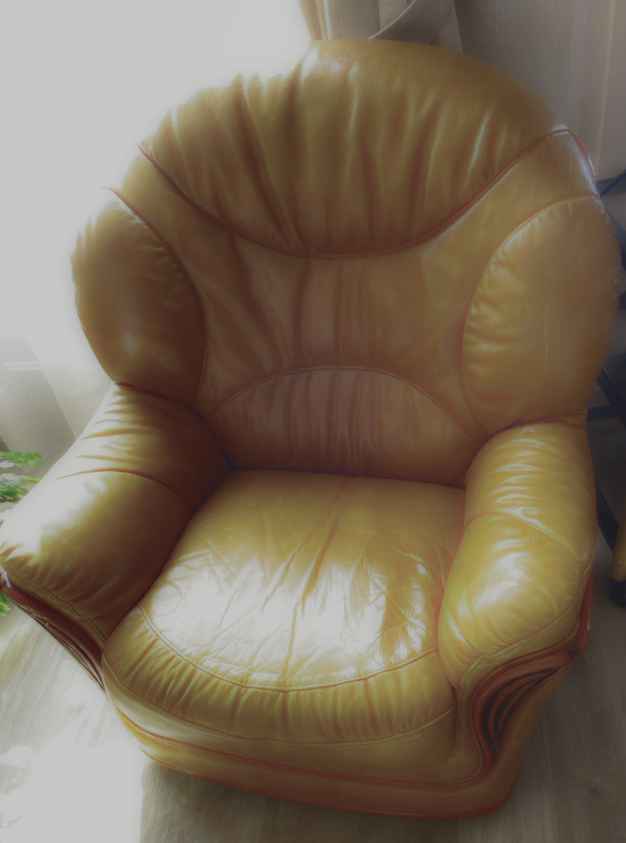 Fauteuil cuir salon