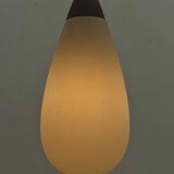 'Teardrop' Par of pendant by Temde Leuchten