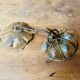 Lanterne /suspension murano