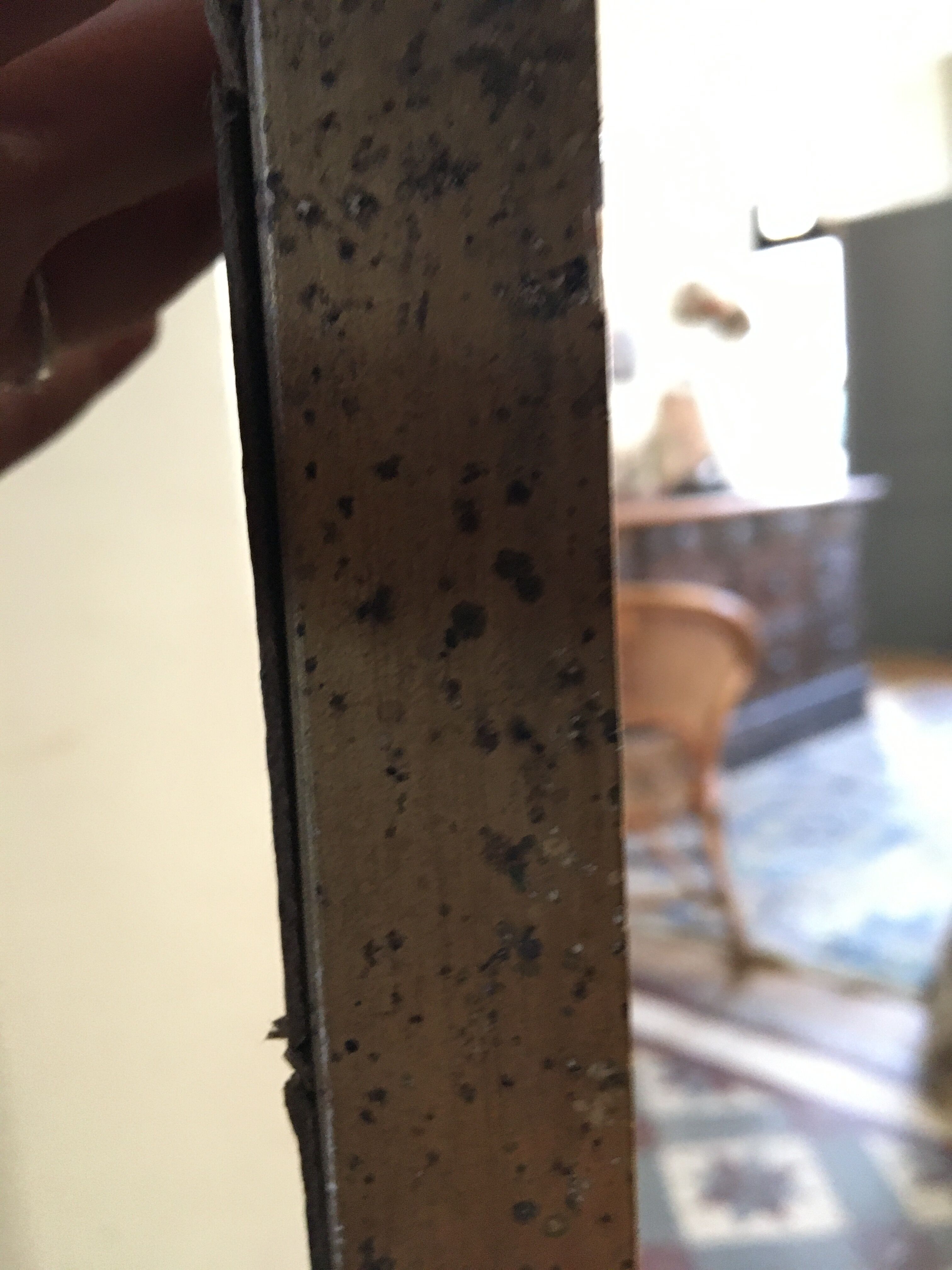 Trumeau late 19th 48x97cm