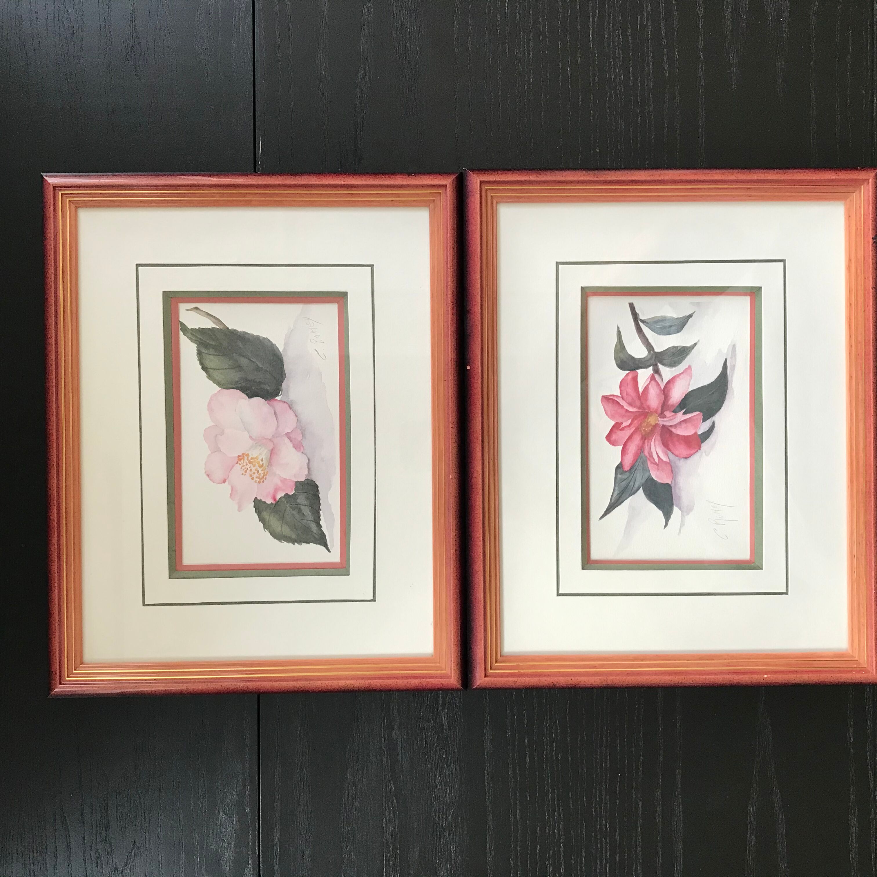 Botanical watercolour signed and framed
