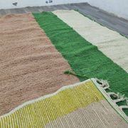 Tapis berbere grande pour votre espace 300 x 400 cm