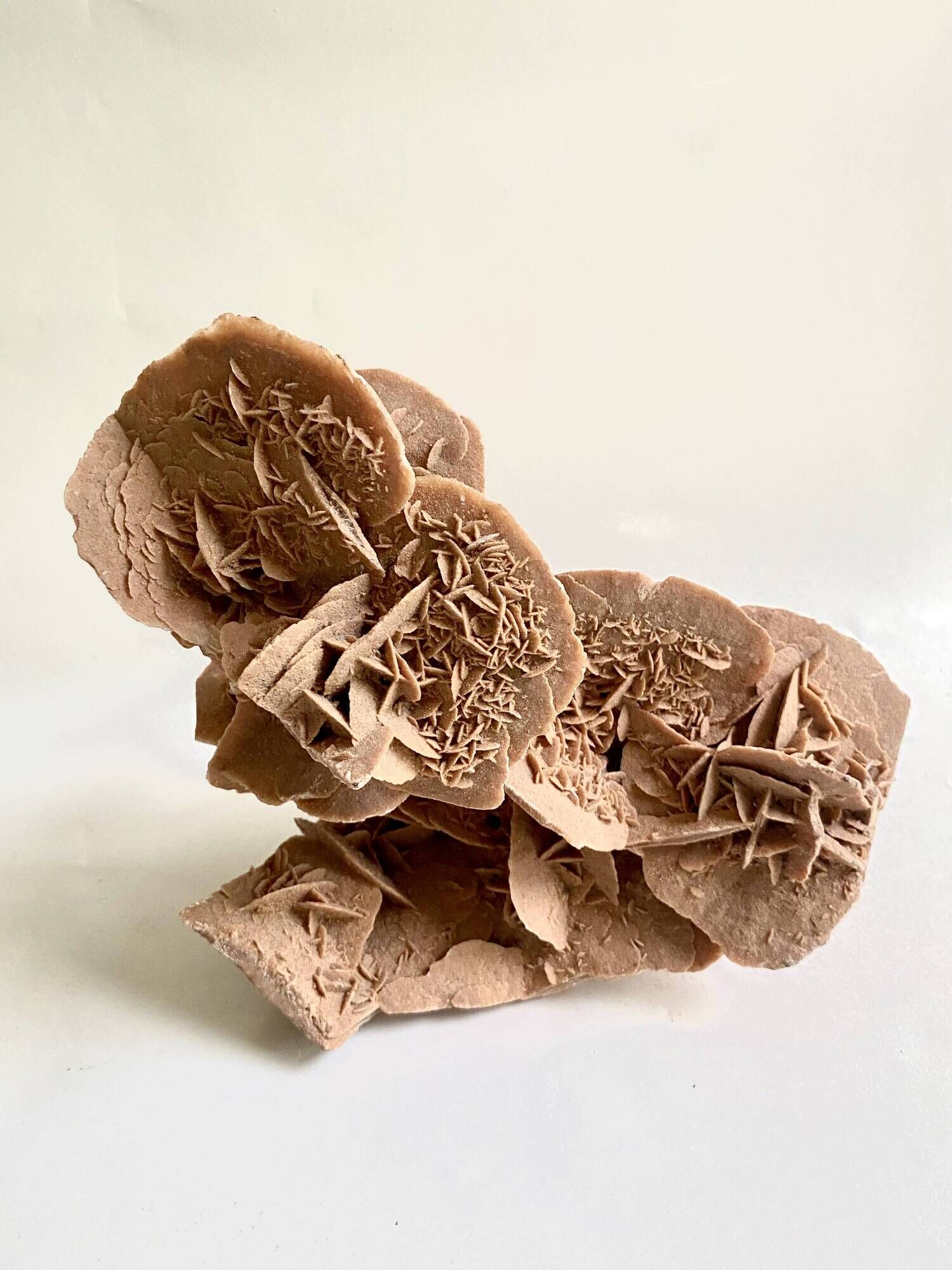 Sand rose 23 cm
