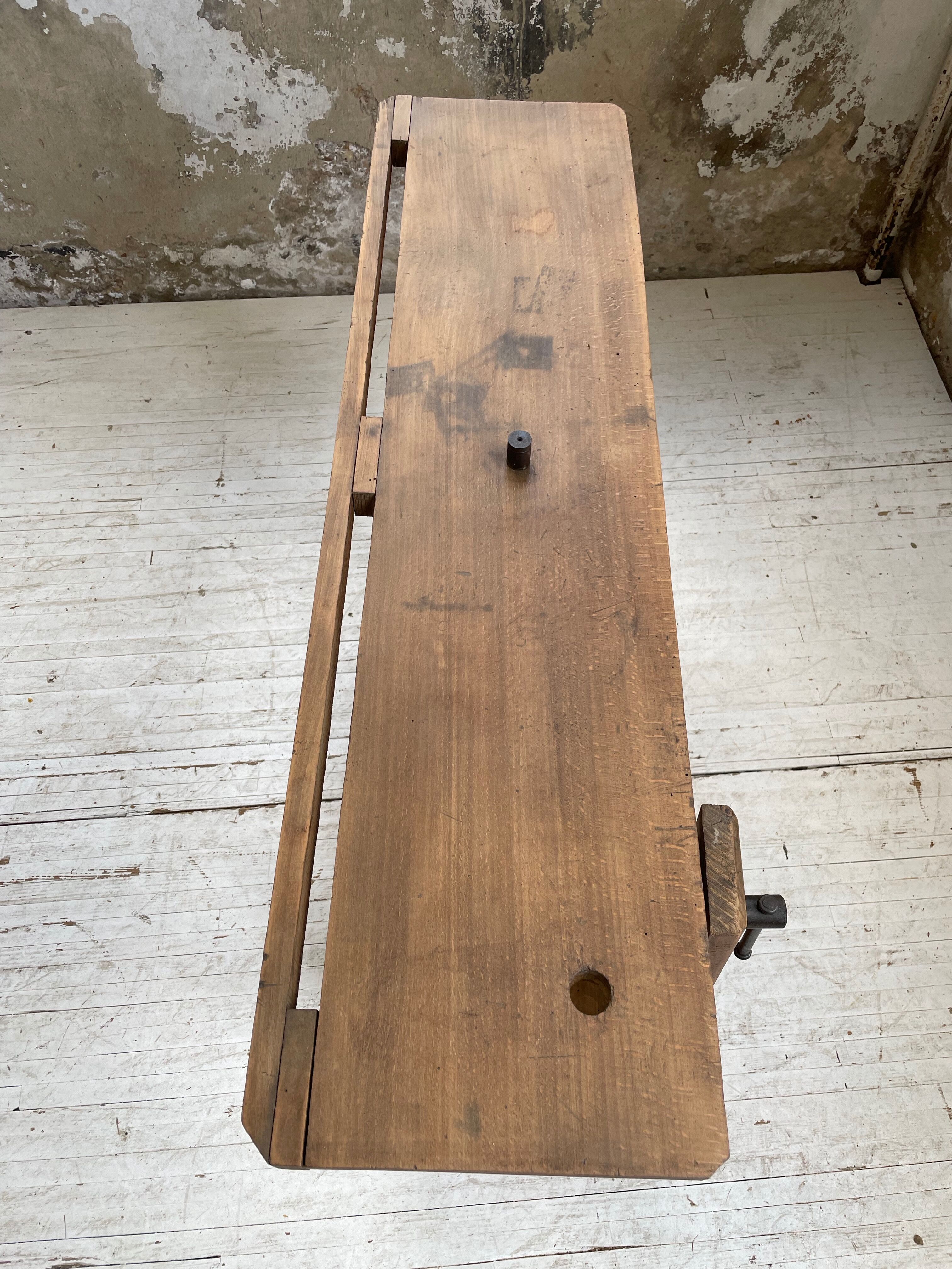 Established XS in cherry tree