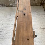 Established XS in cherry tree