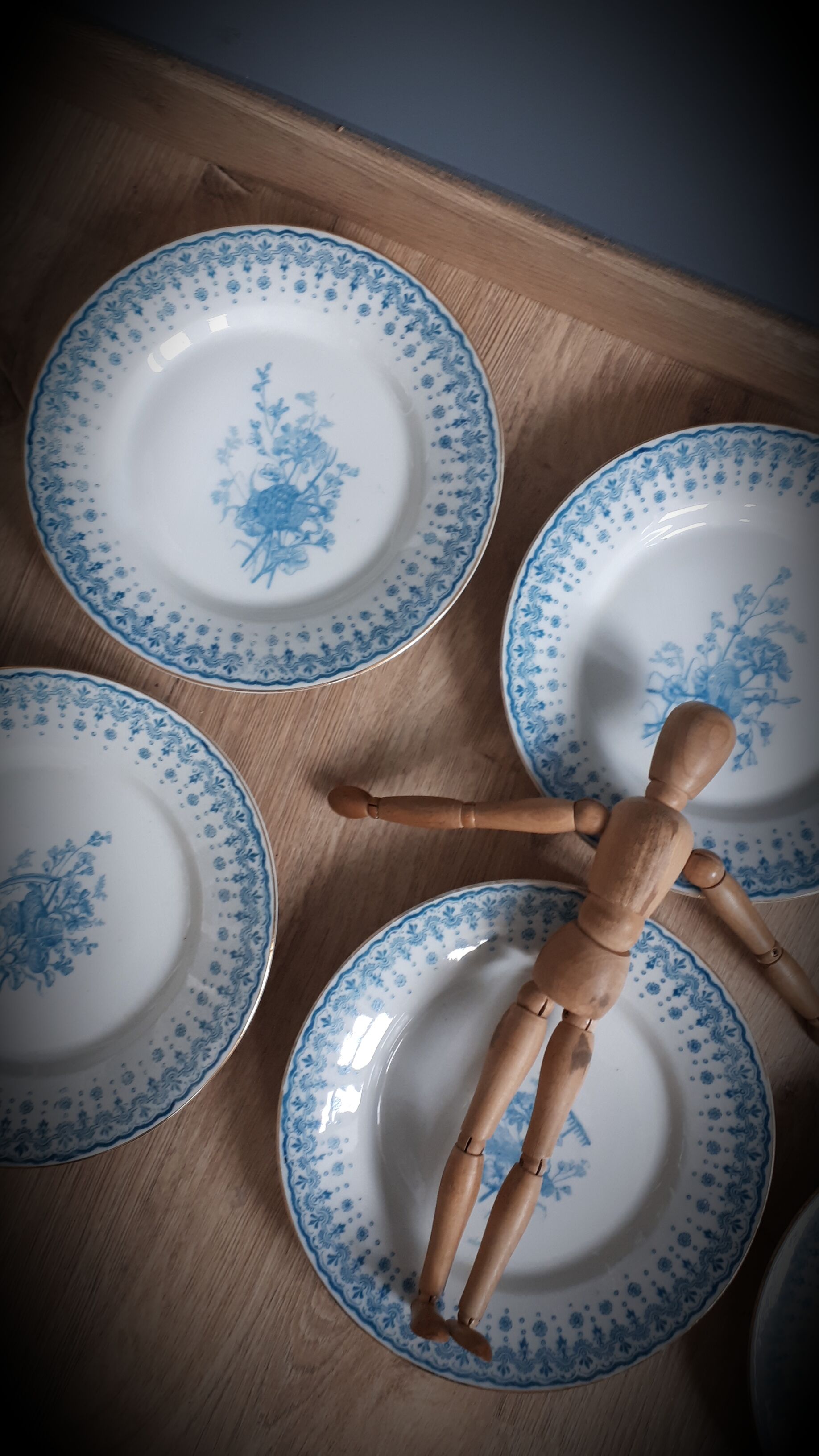 Set 6 flat plates Harvest