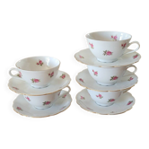 5 cups and saucers Seltmann Weiden Bavaria Model Nora