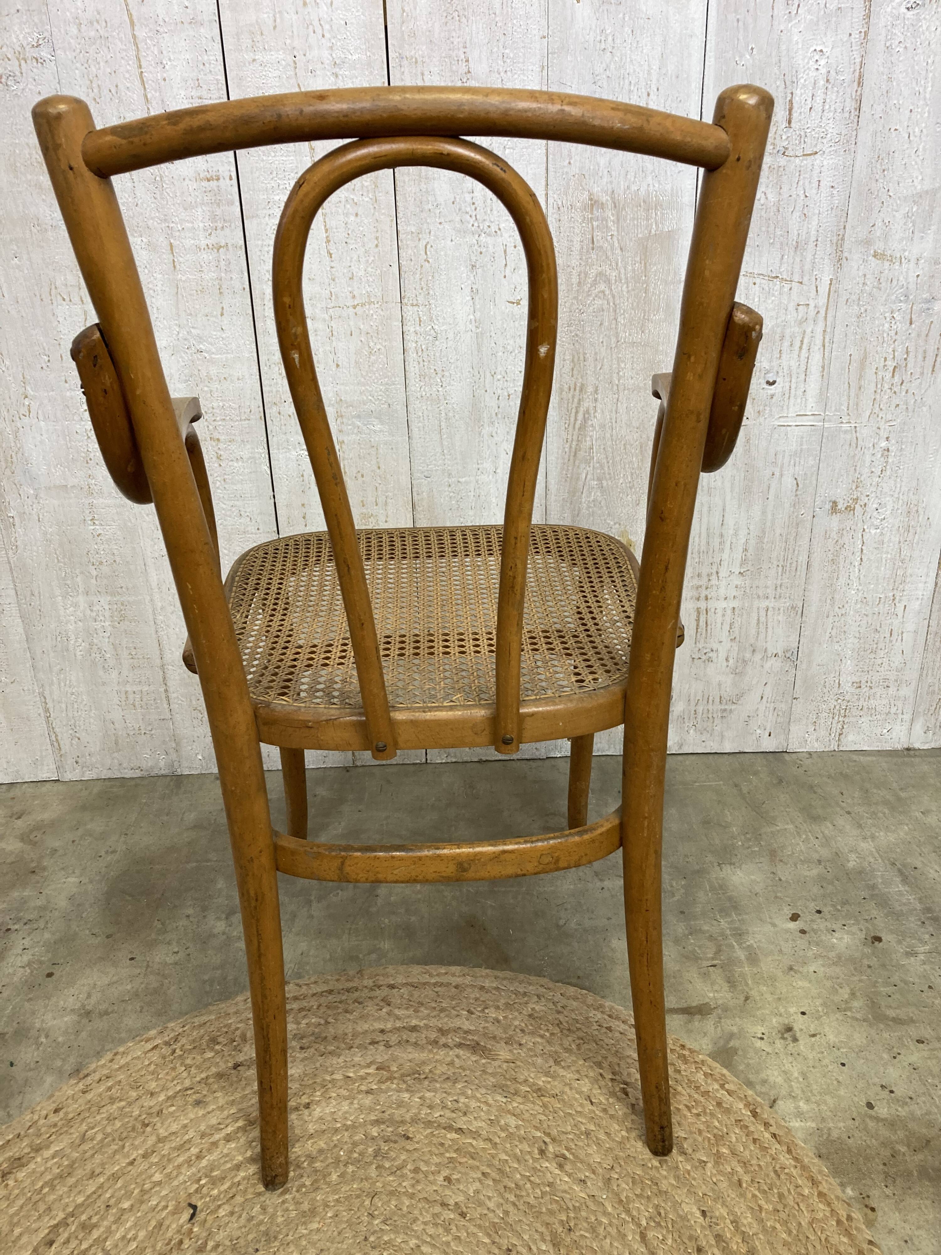 Curved wood and cane armchair