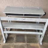 Double school desk