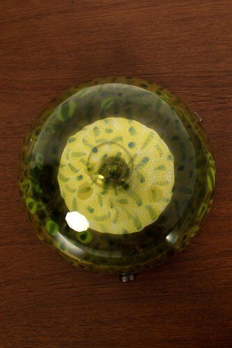 Lustre par Gae Aulenti pour Vistosi