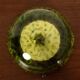 Lustre par Gae Aulenti pour Vistosi