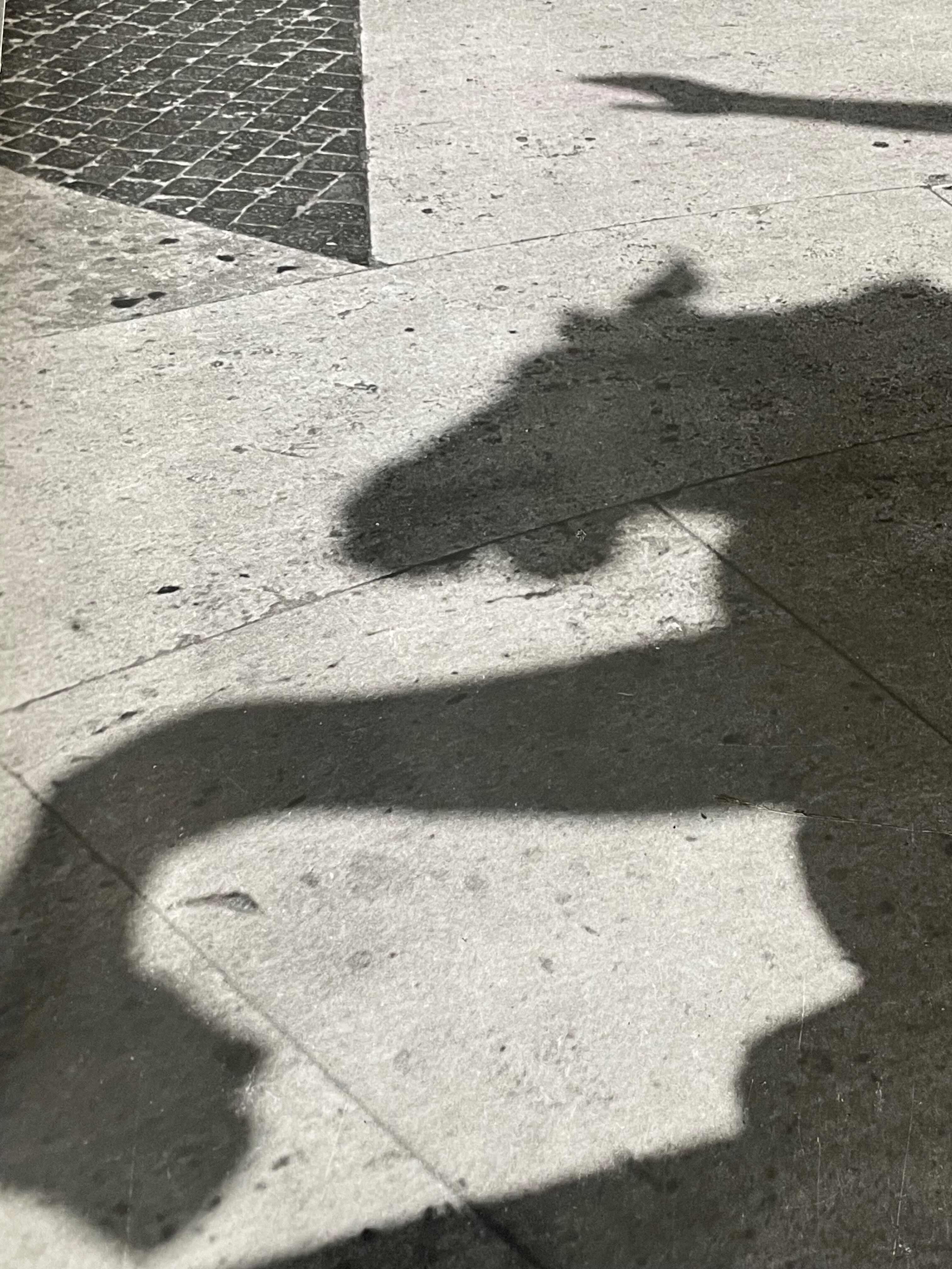 Black and white silver photography early twentieth century