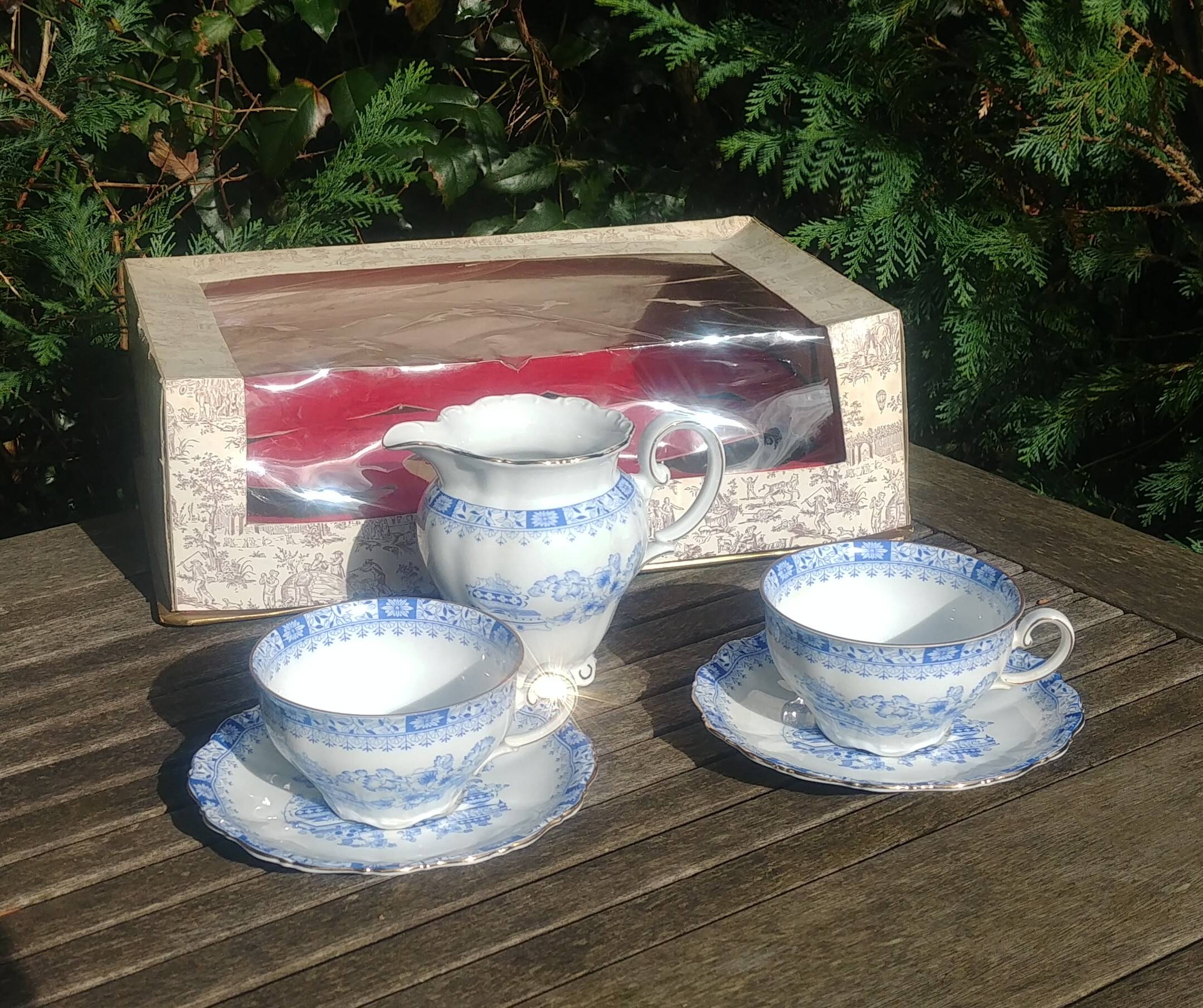 Porcelain tea set from the Seltmann weiden-E-Bavaria factory, new Theresia model