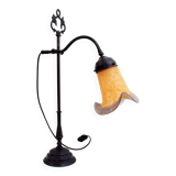 Gooseneck lamp with Vianne glass paste tulip