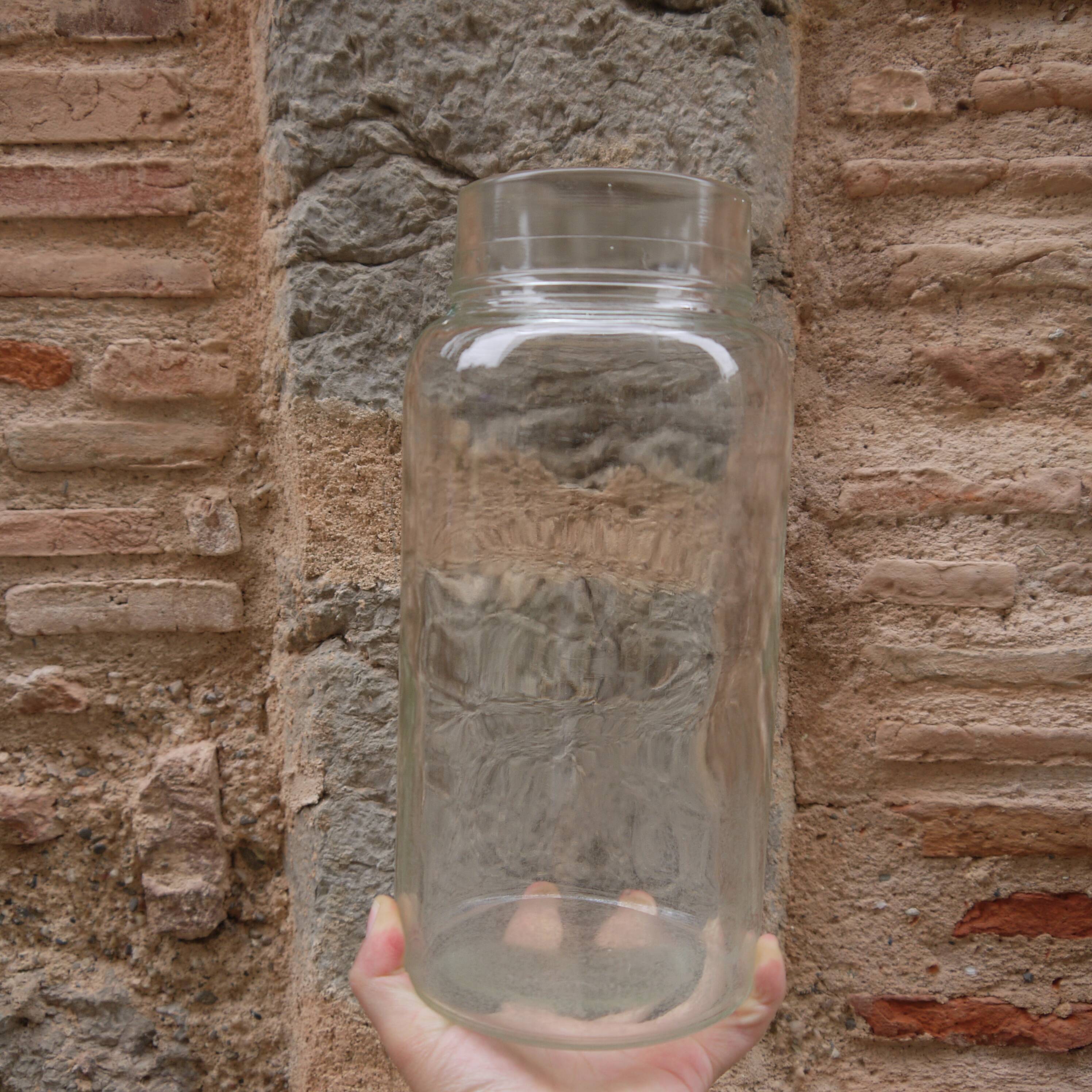 Glass pharmacy jar vase