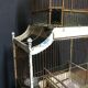 Old bird cage