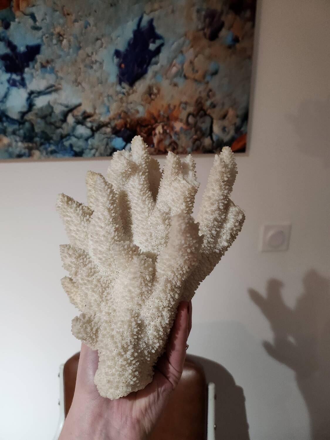 Large white coral