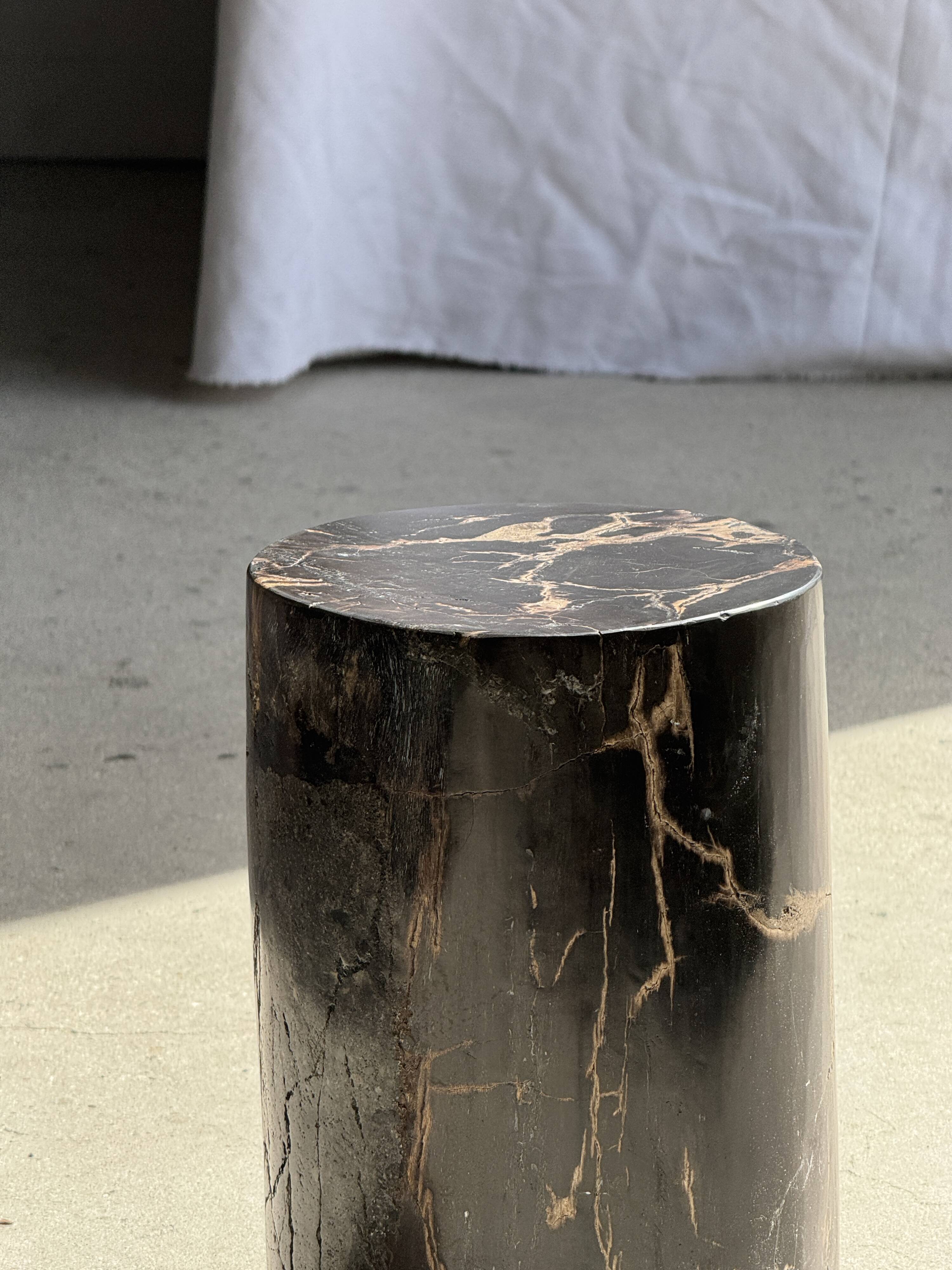 Table d'appoint en bois pétrifié noir