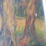 Old painting on canvas signed R. Debadrihaye