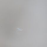 Chest of drawers vintage gautier furniture