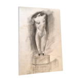 Illustration "Venus" Charcoal