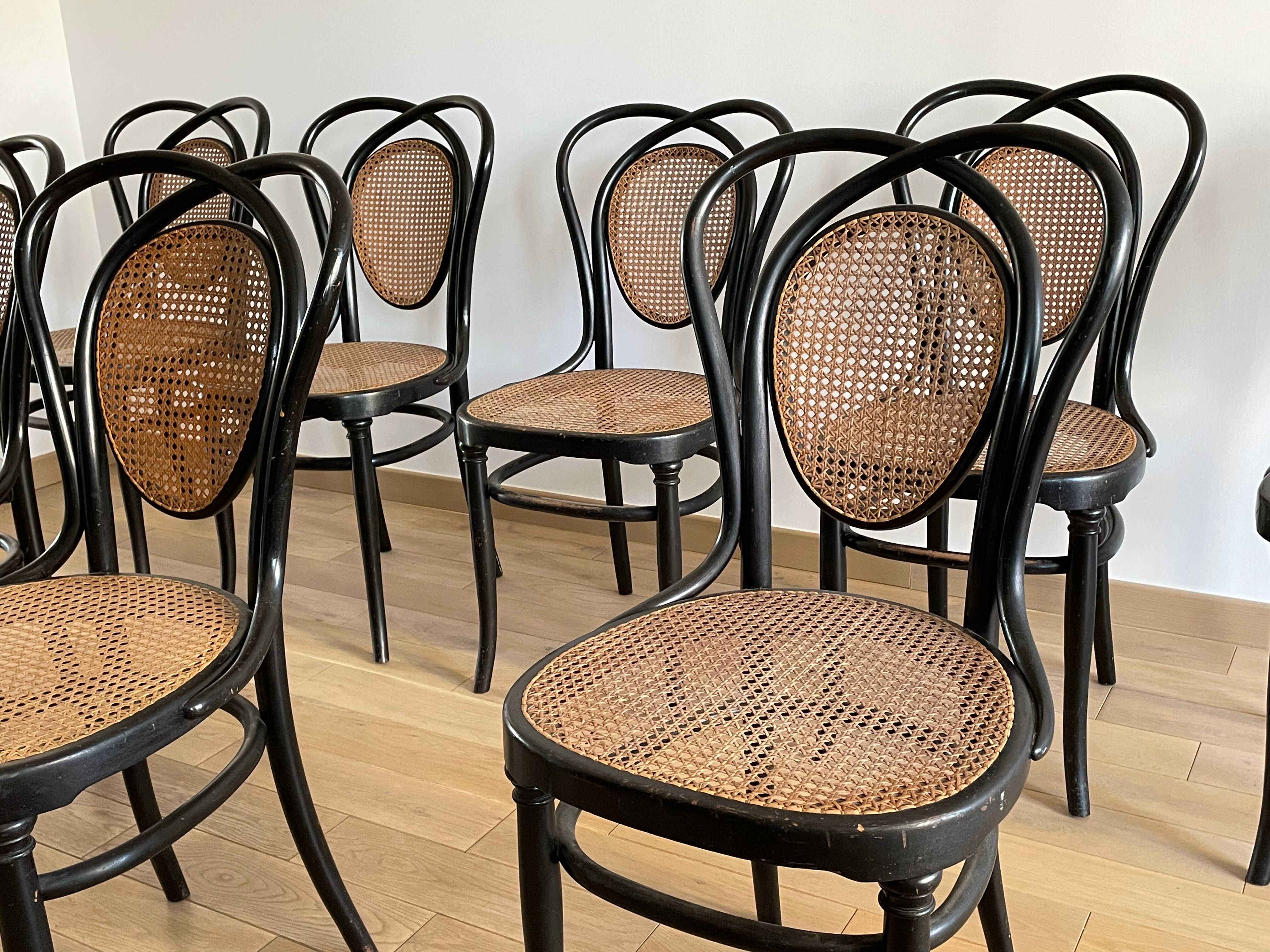 Series of 8 Viennese chairs N.33 by J&J Kohn, 1900