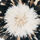 Juju hat black white 65 cm
