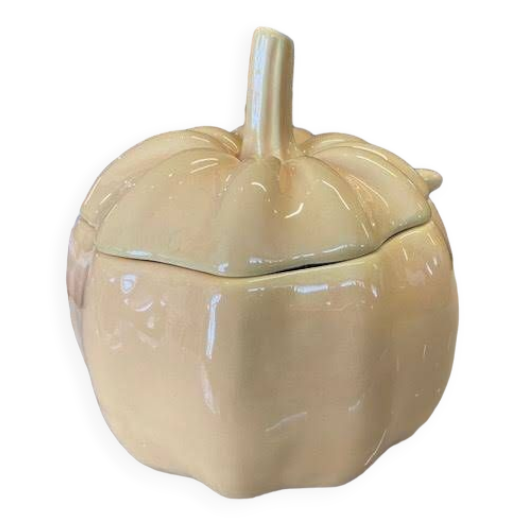 Pumpkin tureen with ladle