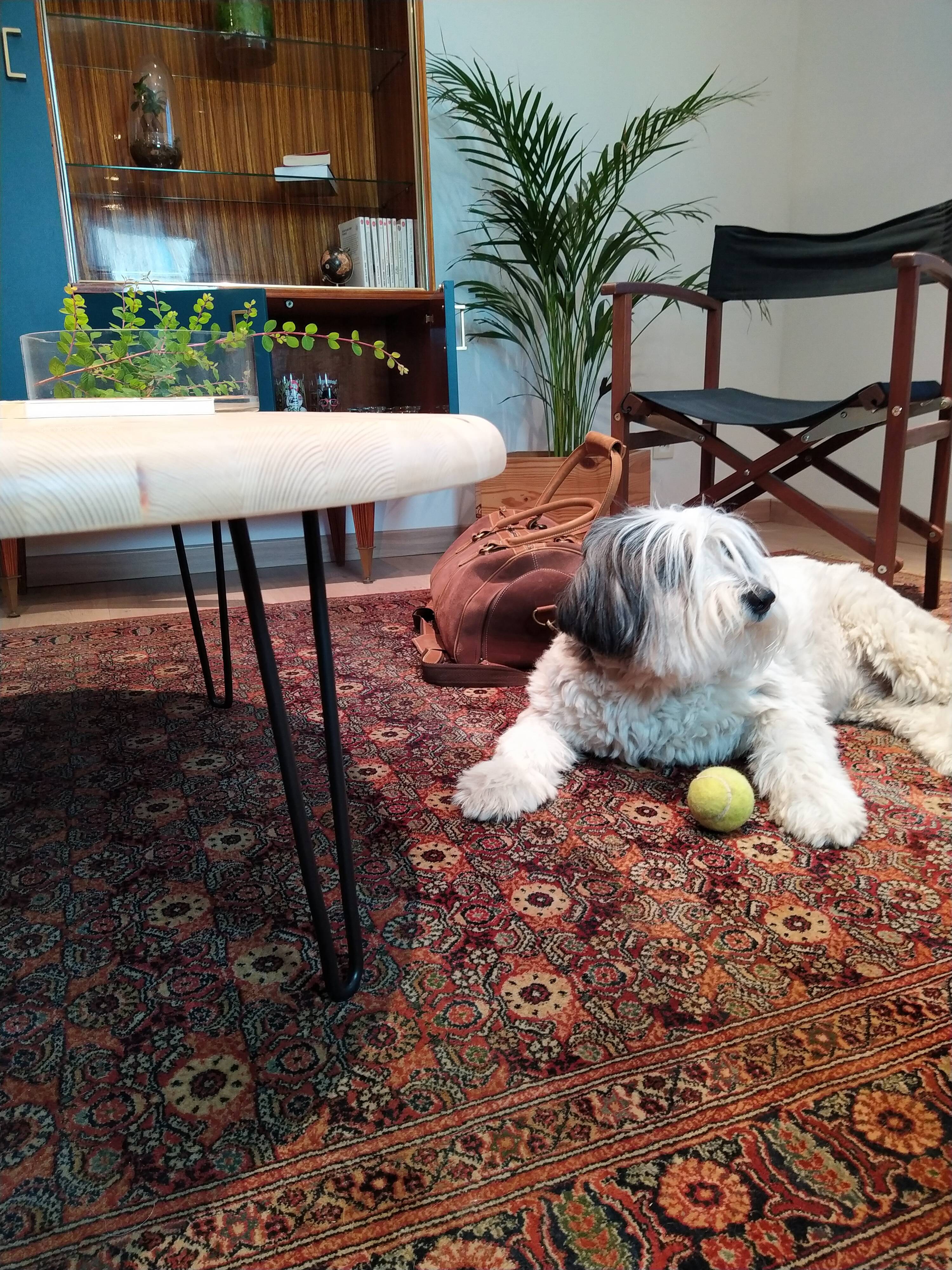 Beschir carpet - 200x292cm