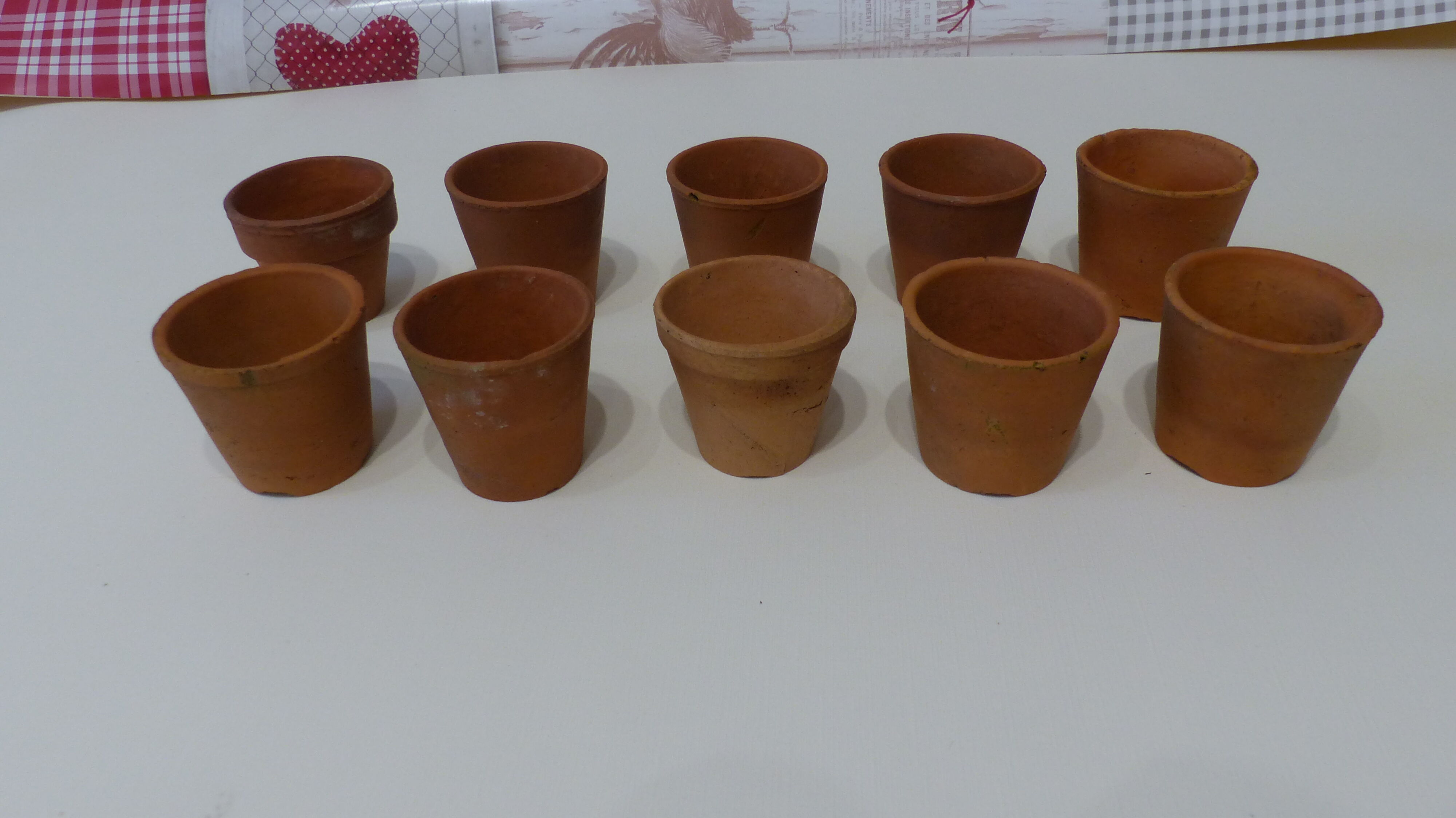 10 terracotta pots