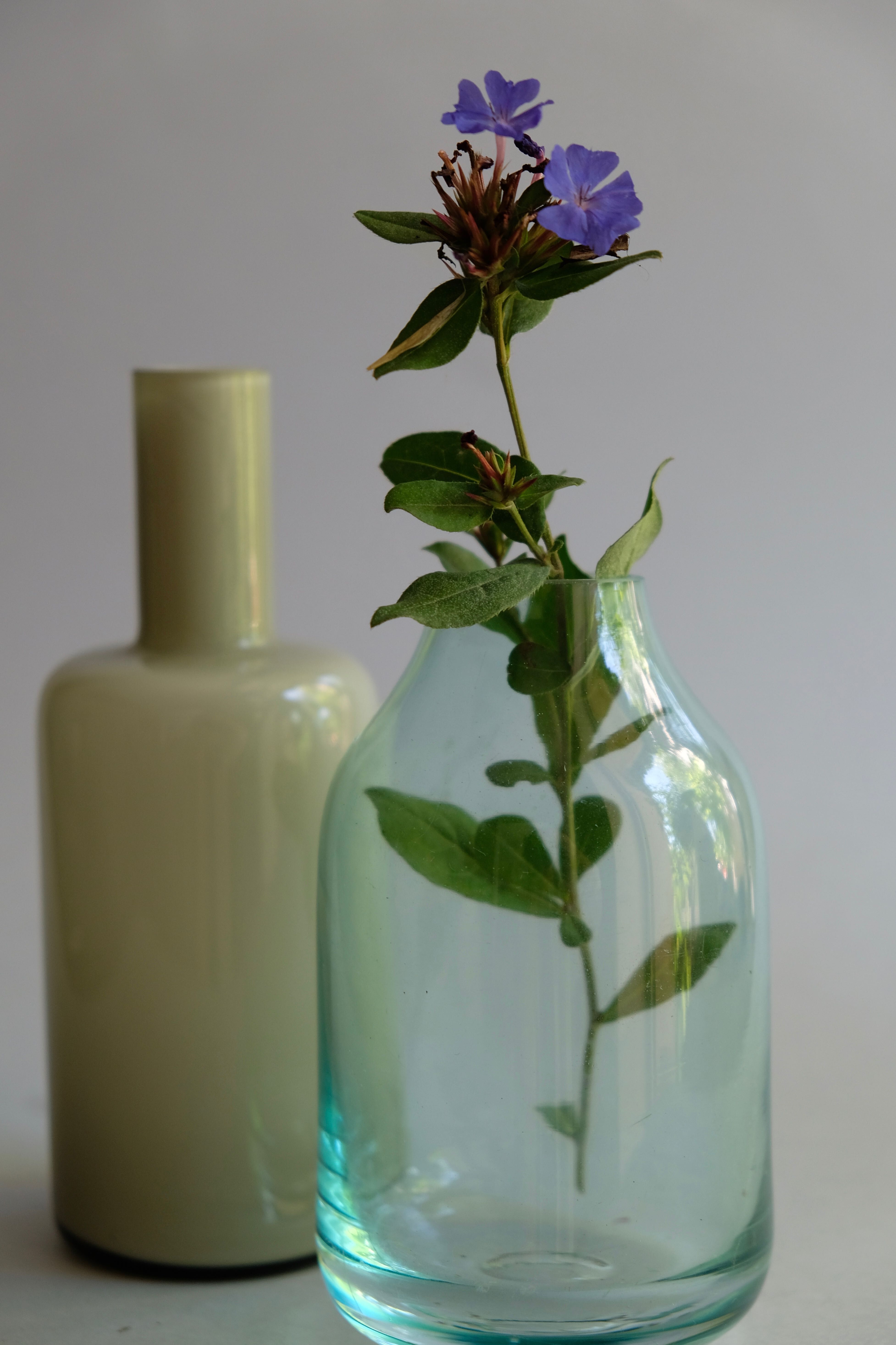 Set vintage vases