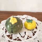 Barbotine salt and pepper shaker set