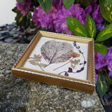 Herbarium frame