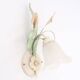 Tulip wall light with leaves and flowers, 80s