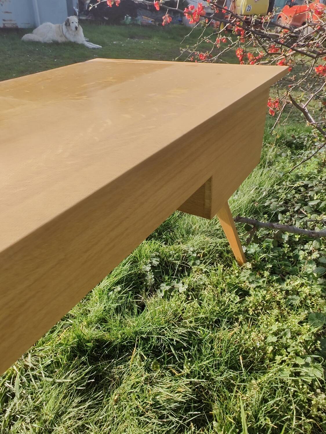 Scandinavian desk with compass feet