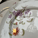Set of 8 floral porcelain plates from the late 19th century.