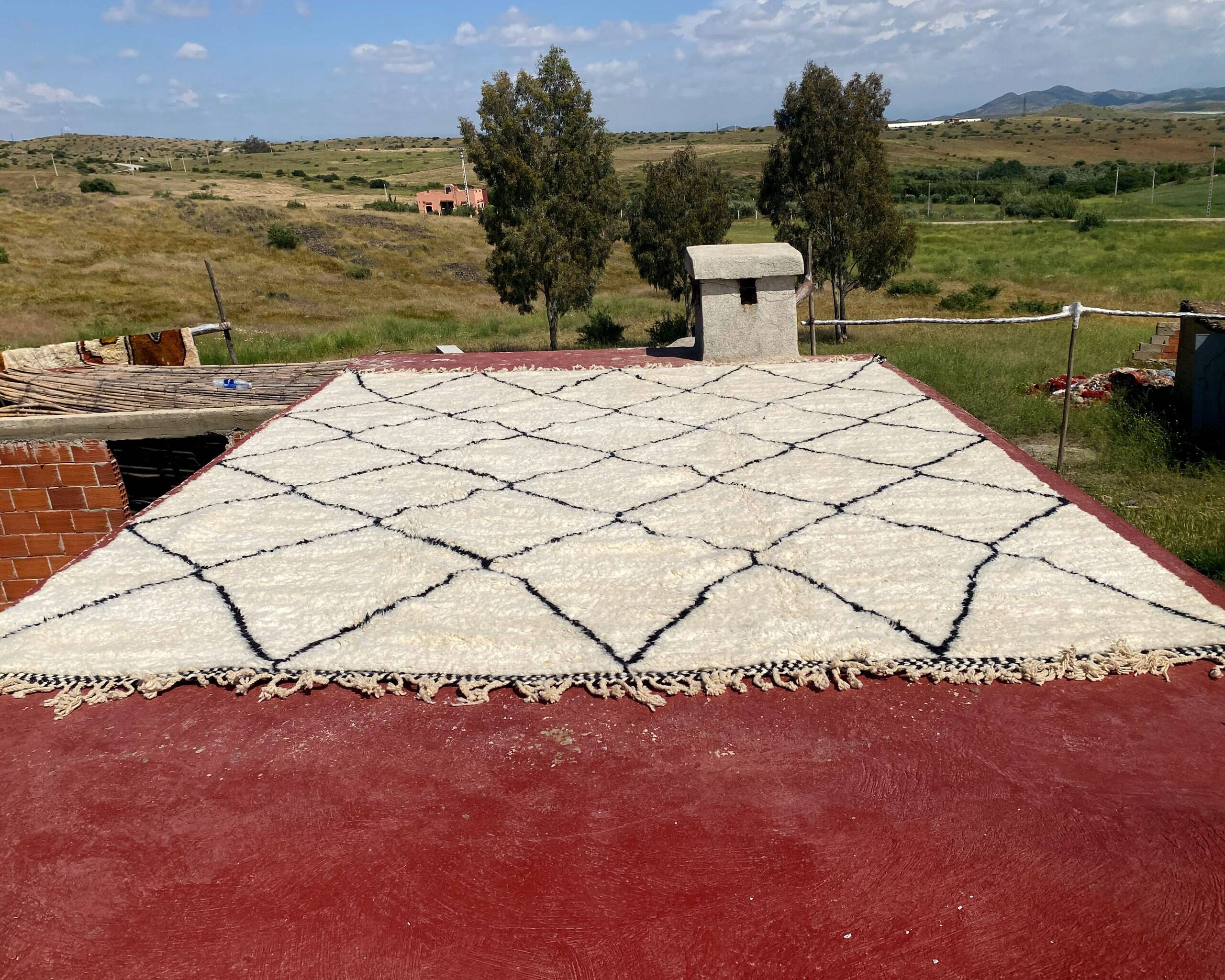 Very large vintage Beni Ouarain rug in cream wool with black diamonds, 426x344cm.