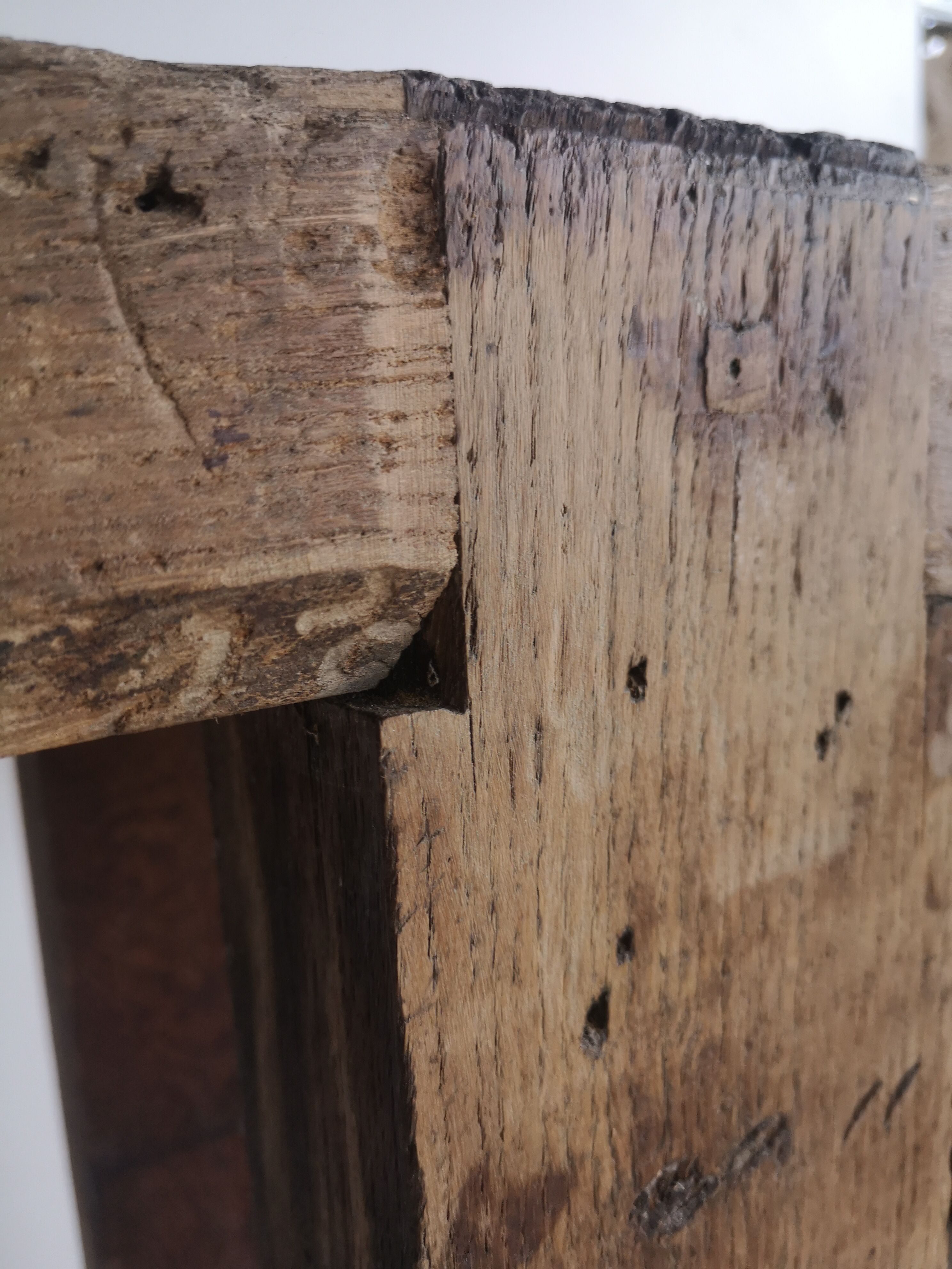 Established old carpenter