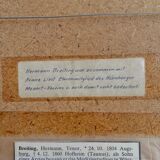 Antique original oil painting of a German opera tenor, large 19th century portrait