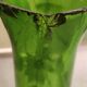 Vase en verre émaillé art nouveau
