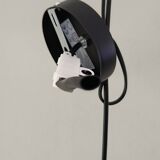 Pair of glass paste chandeliers