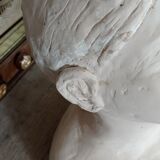 Plaster bust