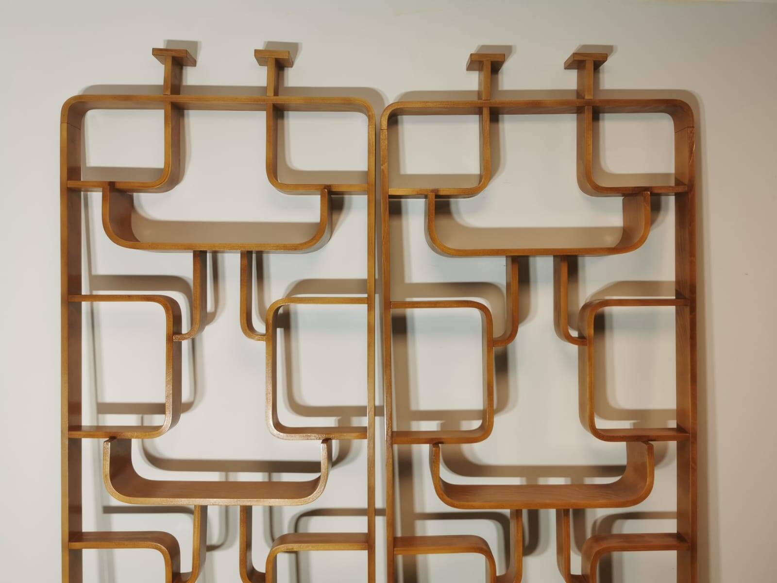 Room Dividers by Ludvik Volak for Drevopodnik Holesov, 1950s, Set of 2