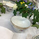 Duo of bowls Porcelaine france Limoges