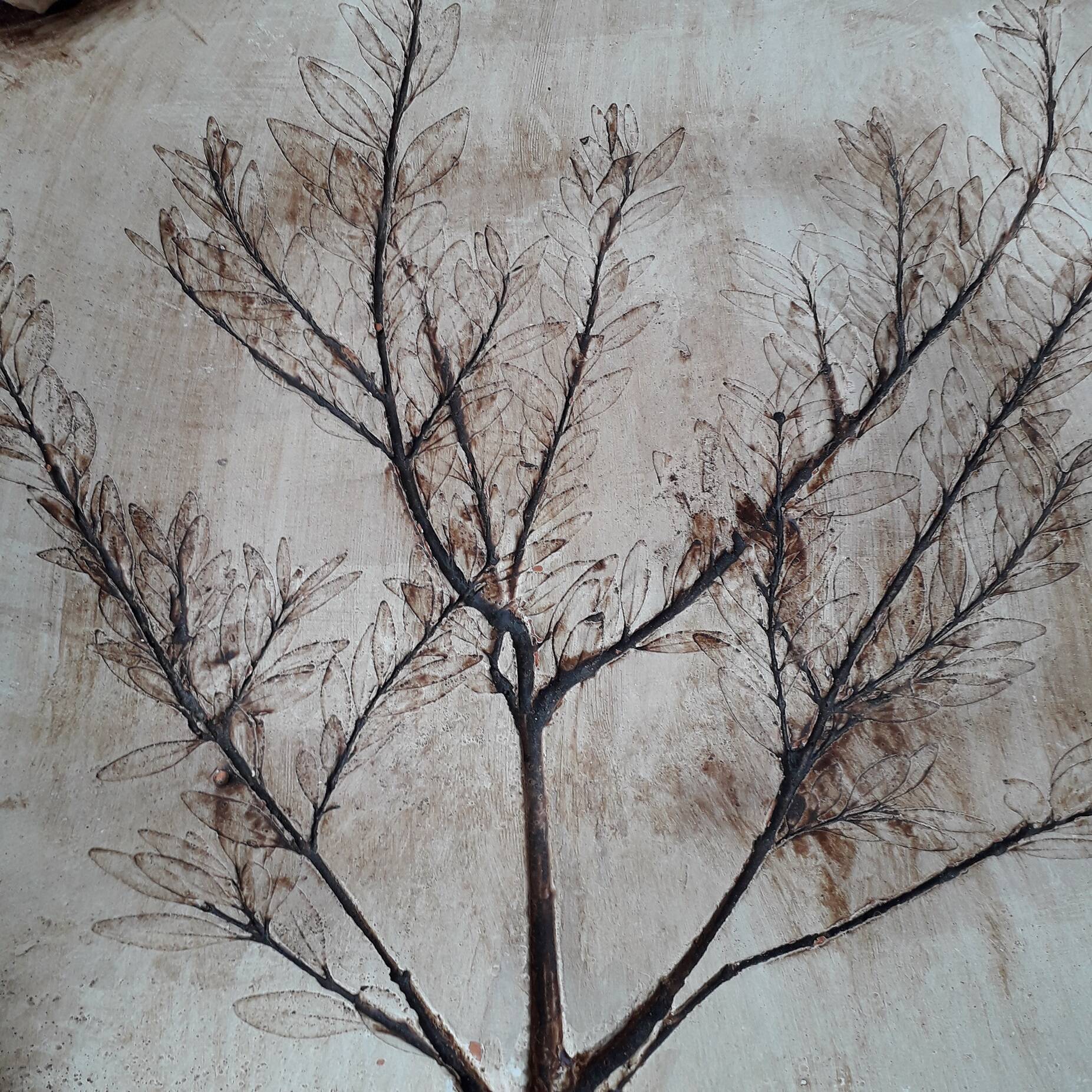 Herbarium cut dish