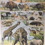 Lot de trois gravures aquarellées
